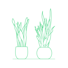 Plants Indoor Snake Plant Engraving Svg Design, Free Vectors File